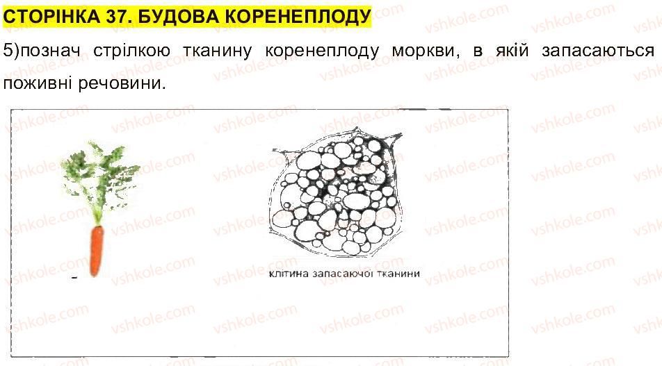 фото задание ст37 - сторінки 27-50