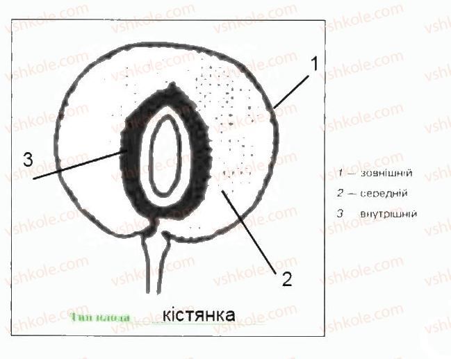 фото задание ст54 - сторінки 51-75