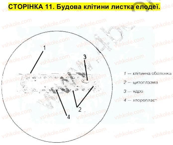 фото задание ст11 - сторінки 6-25