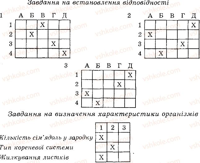 фото задание 2 - варіант 2 - в. комбіновані завдання - тема 4. різноманітність рослин