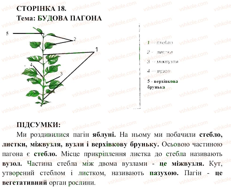 фото задание ст18 - сторінки 4-25