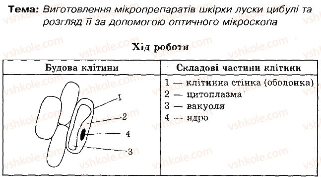 фото задание 2 - практична робота № 2. виготовлення мікропрепаратів шкірки луски цибулі