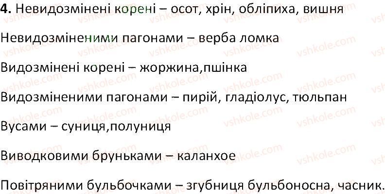 фото задание 4 - § 31. вегетативне розмноження рослин - тема 3. квіткова рослина