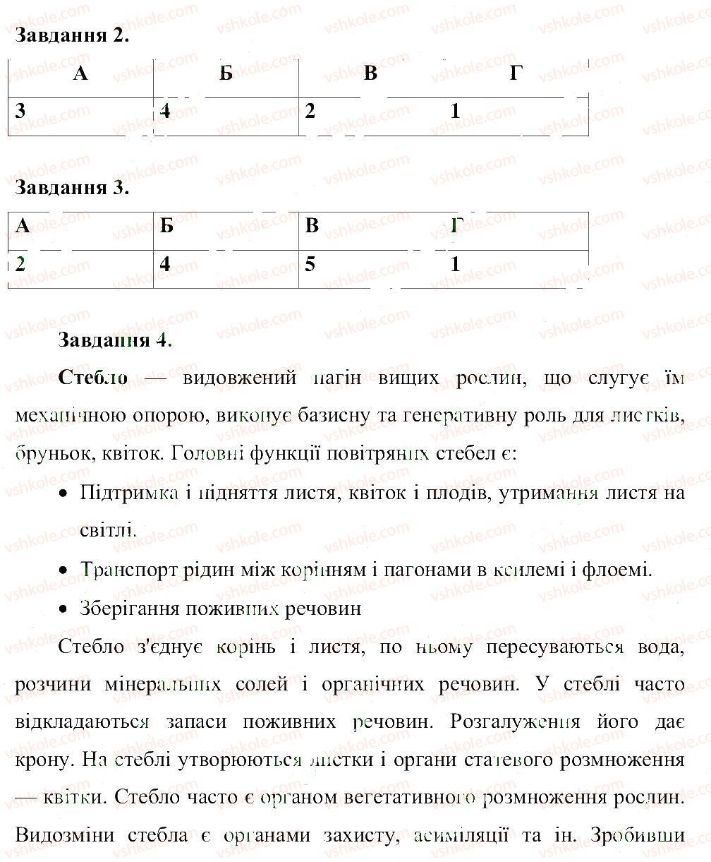 фото задание в1 - тема 3. квіткова рослина