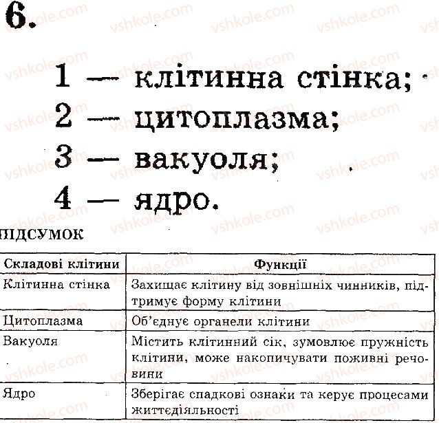 фото задание 6 - практична робота № 2