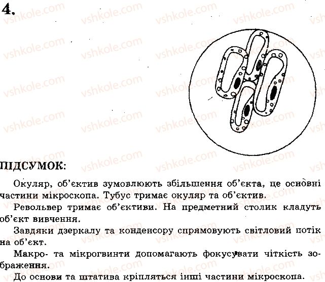 фото задание 4 - практична робота № 1. клітина