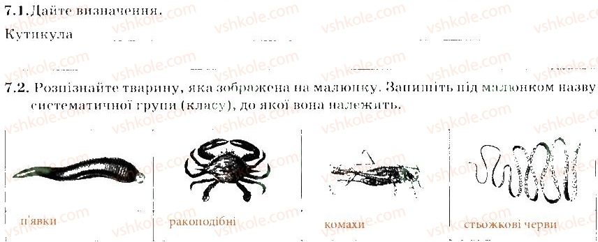 фото задание 7 - варіант 2 - тема 1. різноманітність тварин. безхребетні