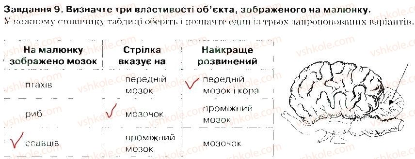 фото задание 9 - варіант 1 - тема 2. процес життєдіяльності тварин. частина 2