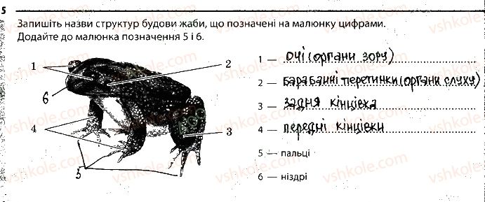фото задание 5 - 10. амфібії - тема 1. різноманітність тварин