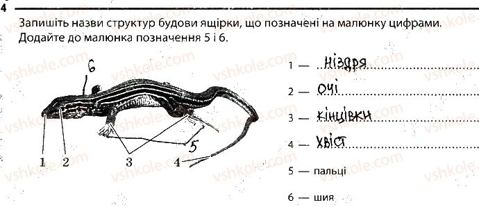 фото задание 4 - 11. рептилії - тема 1. різноманітність тварин