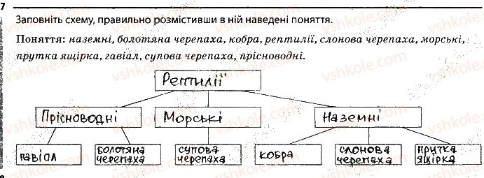 фото задание 7 - 11. рептилії - тема 1. різноманітність тварин