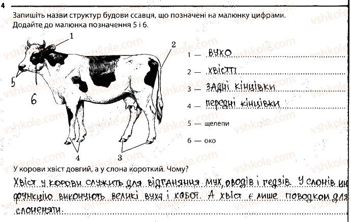 фото задание 4 - 13. ссавці - тема 1. різноманітність тварин