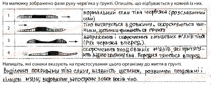 фото задание 3 - 3. кільчасті черви - тема 1. різноманітність тварин