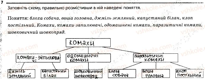 фото задание 7 - 6. комахи - тема 1. різноманітність тварин