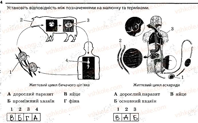 фото задание 4 - 8. паразитичні безхребетні тварини - тема 1. різноманітність тварин