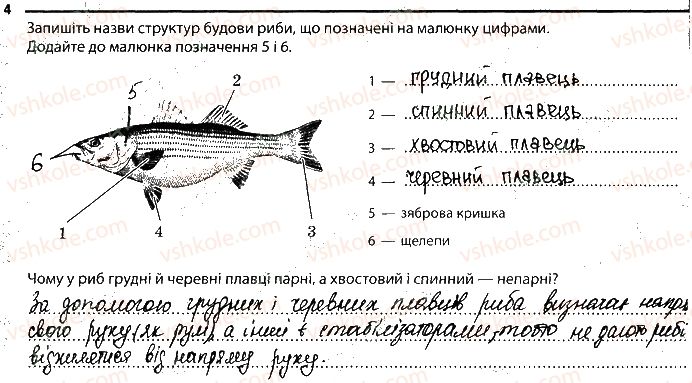 фото задание 4 - 9. риби - тема 1. різноманітність тварин