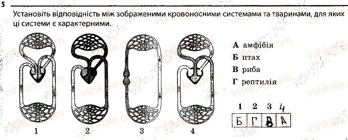 фото задание 5 - 17. транспорт речовин - тема 2. процеси життедіяльності тварин