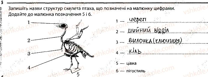 фото задание 5 - 19. опорно-рухова система - тема 2. процеси життедіяльності тварин