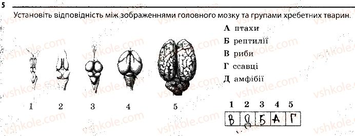 фото задание 5 - 23. нервова система - тема 2. процеси життедіяльності тварин