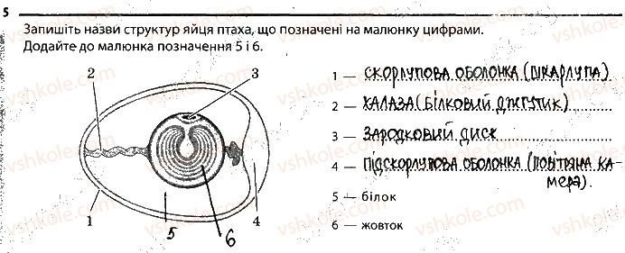 фото задание 5 - 24. розмноження тварин - тема 2. процеси життедіяльності тварин