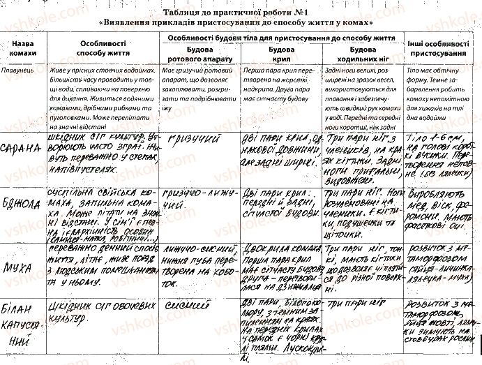 фото задание 2-4 - практична робота №1 - вкладиш. зошит для практичних робіт