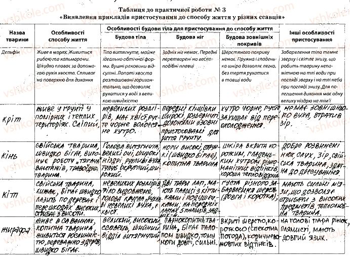 фото задание 2-4 - практична робота №3 - вкладиш. зошит для практичних робіт