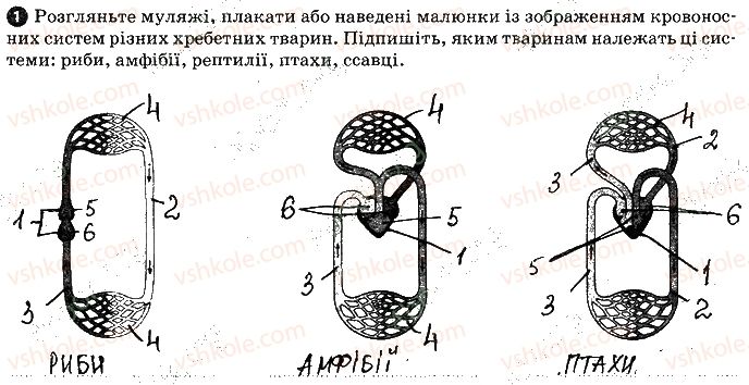 фото задание 1 - практична робота №4 - вкладиш. зошит для практичних робіт