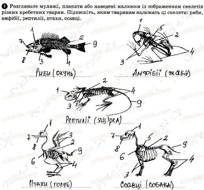 фото задание 1-2 - практична робота №5 - вкладиш. зошит для практичних робіт