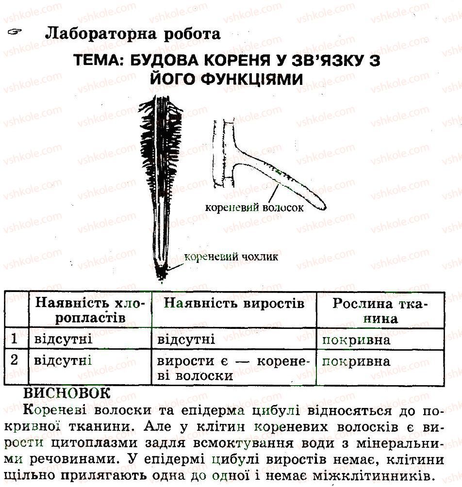 фото задание лр - будова кореня - лабораторні роботи