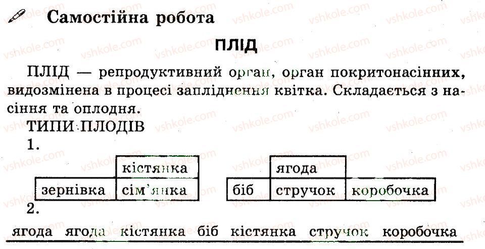 фото задание ср - плід - самостійні роботи