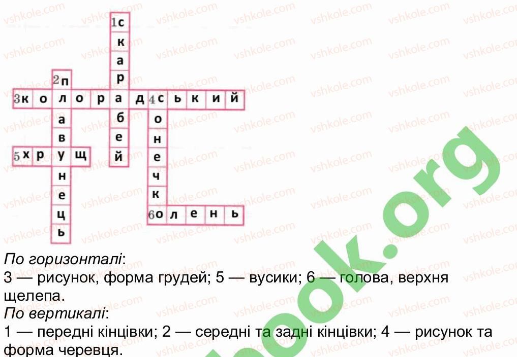 фото задание 1 - сторінка 28 - сторінки 21-40