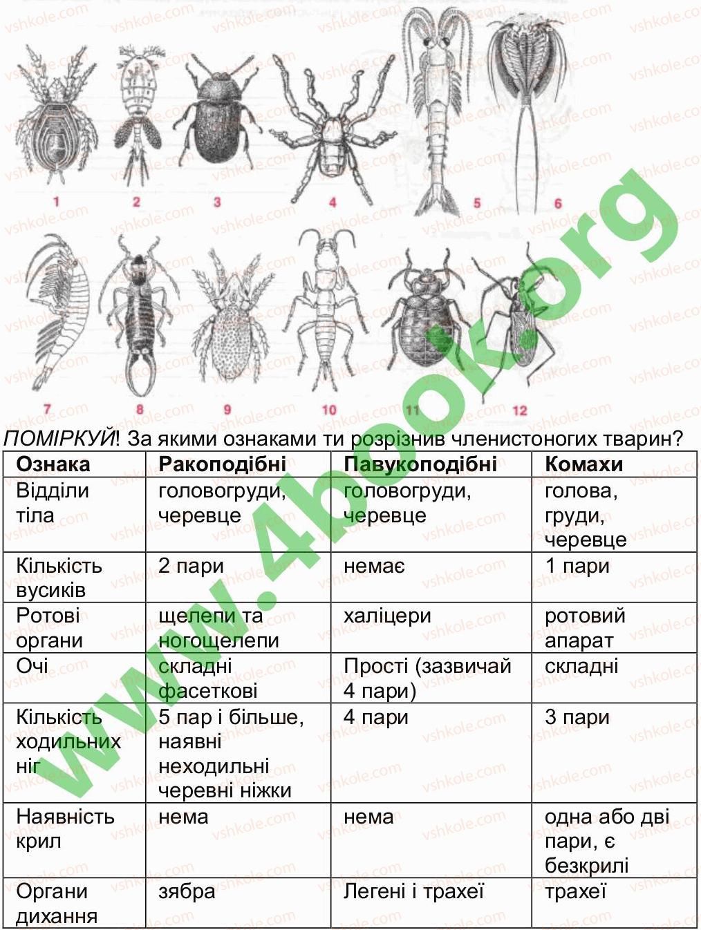 фото задание 2 - сторінка 18 - сторінки 6-20