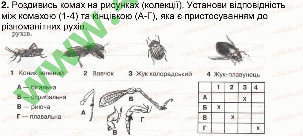 фото задание 2 - сторінка 20 - сторінки 6-20