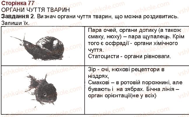 фото задание 2 - сторінка 77 - сторінки 61-80