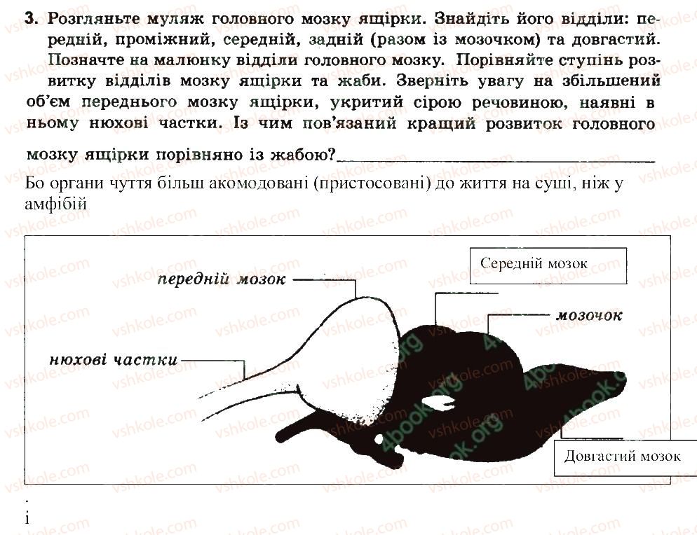 фото задание 3 - порівняння будови головного мозку хребетних тварин