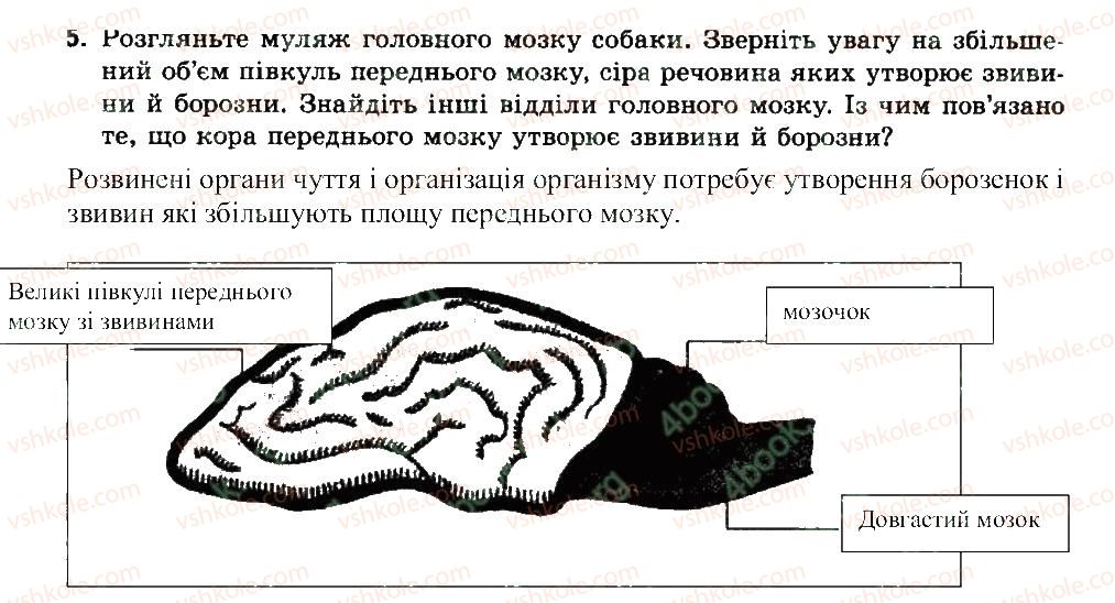 фото задание 5 - порівняння будови головного мозку хребетних тварин