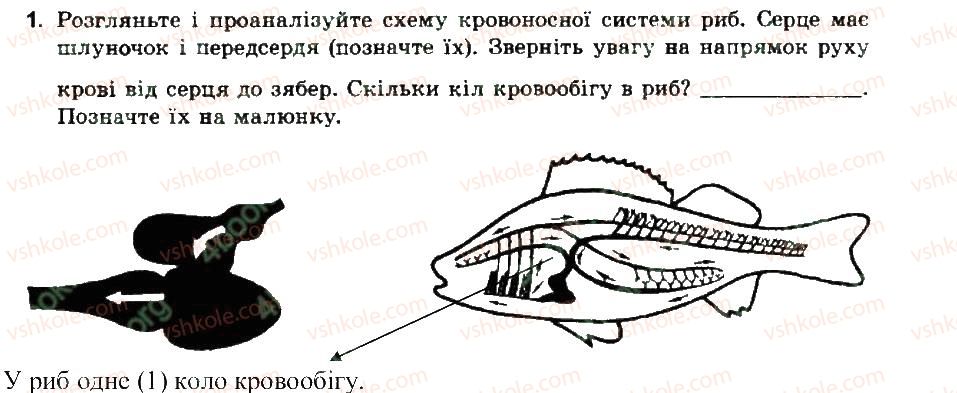 фото задание 1 - порівняння будови кровоносної системи хребетних тварин