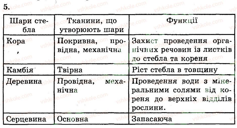 фото задание 5 - будова пагона. його розвиток із бруньки - розділ 1. рослини