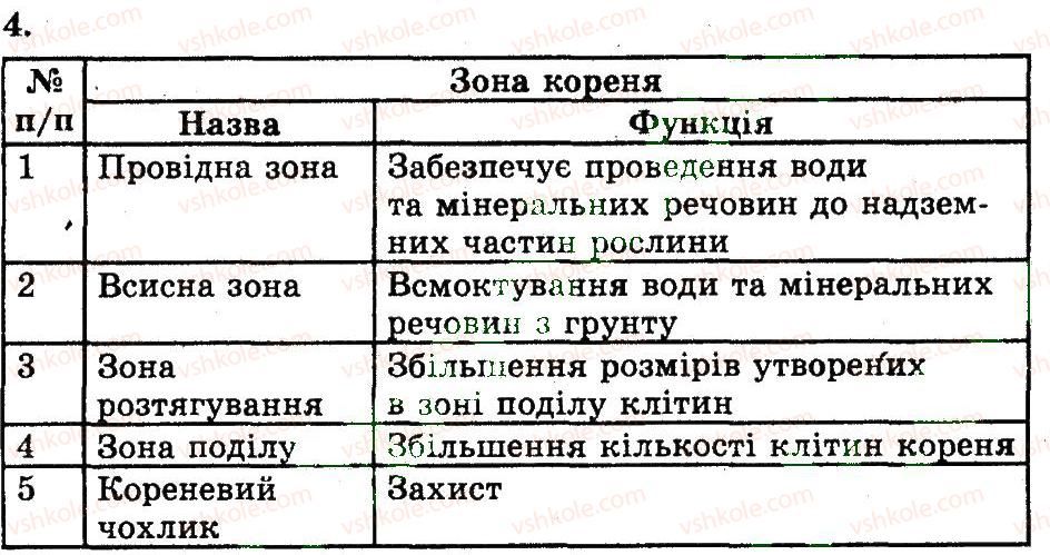 фото задание 4 - будова та функції коренів - розділ 1. рослини