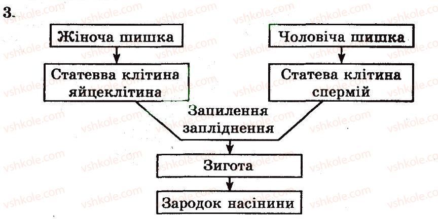 фото задание 3 - загальна характеристика голонасінних рослин - розділ 2. різноманіття рослин