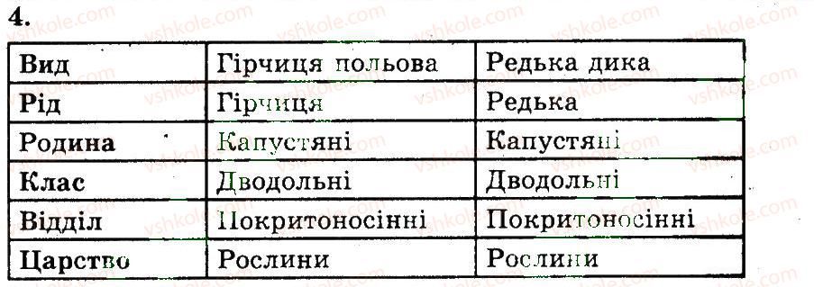 фото задание 4 - загальна характеристика покритонасінних, або квіткових рослин - розділ 2. різноманіття рослин