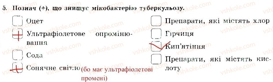 фото задание 5 - профілактика туберкульозу