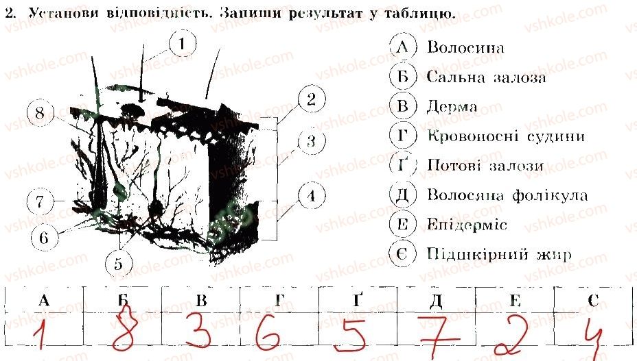фото задание 2 - здоров'я шкіри