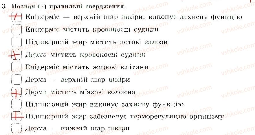 фото задание 3 - здоров'я шкіри