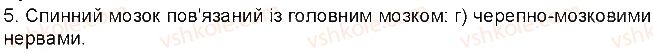 фото задание 5 - тести - тема 7. зв’язок організму людини із зовнішнім середовищем. нервова система