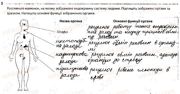 фото задание 3 - ендокринна система. проблеми ендокринної системи - тема 10. регуляція функцій організму