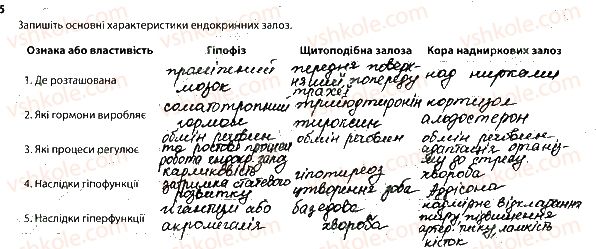 фото задание 5 - ендокринна система. проблеми ендокринної системи - тема 10. регуляція функцій організму