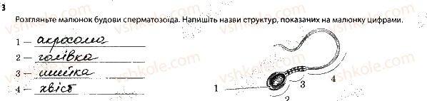 фото задание 3 - репродуктивна система - тема 11. розмноження та розвиток людини