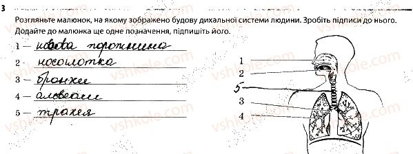 фото задание 3 - будова дихальної системи - тема 3. дихання