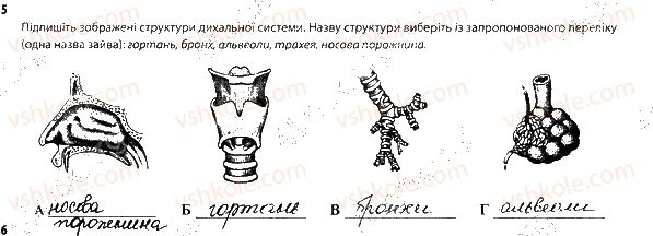 фото задание 5 - будова дихальної системи - тема 3. дихання